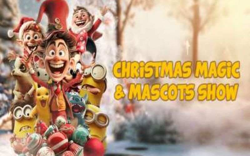 Christmas Magic Show & Mascots