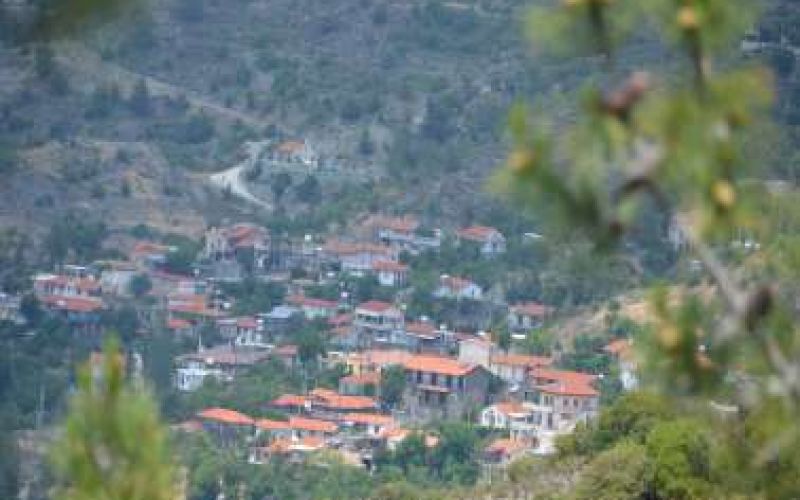 Άγιος Θεόδωρος Πιτσιλιάς – Ένα απολαυστικό 10ήμερο Εκδηλώσεων