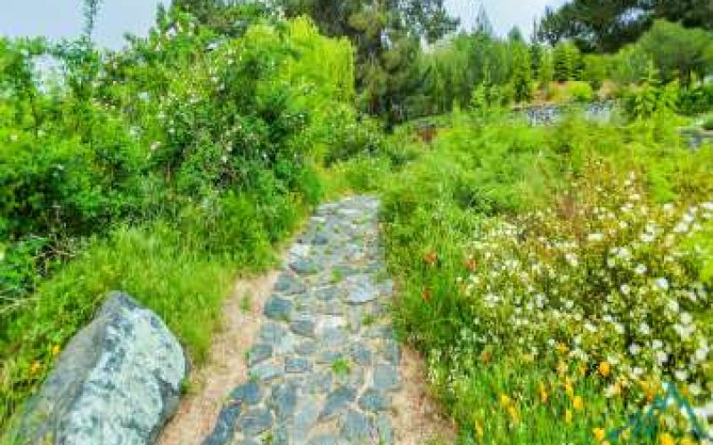 The magnificent Troodos Botanical Garden «Α.G. Leventis»