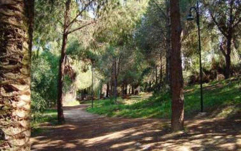 Bicycle road in Nicosia?