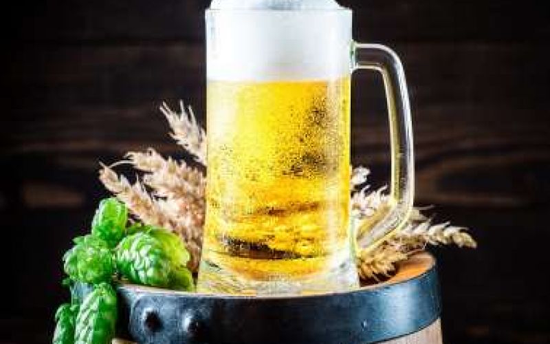 Φεστιβάλ Μπύρας - Nicosia Beer Fest 2019