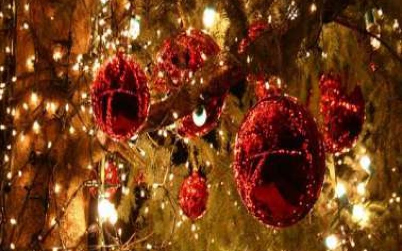 Χριστούγεννα ήρθαν πάλι στο Δήμο Αγίας Νάπας, ο οποίος διοργανώνει Φιλανθρωπικό Παζαράκι
