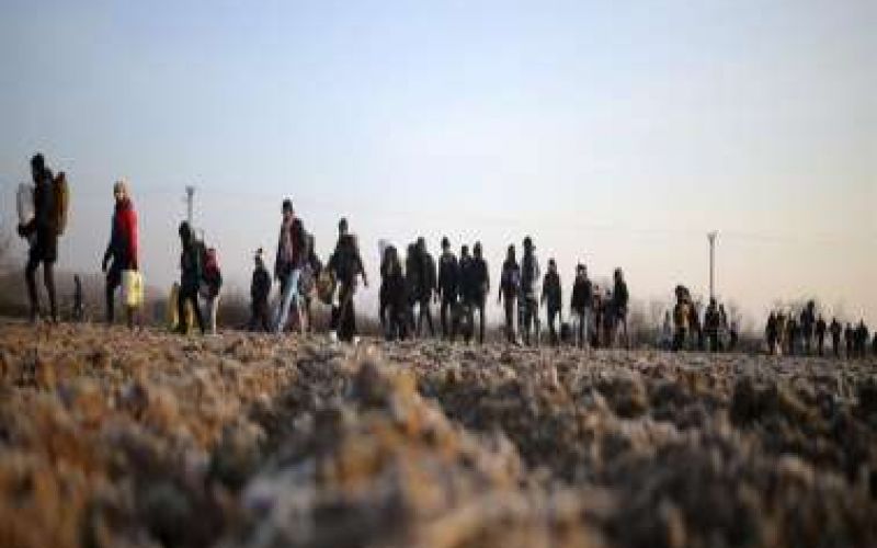 11.564 αιτητές ασύλου από τα κατεχόμενα