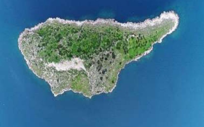 Το δίδυμο αδερφάκι της Κύπρου (βίντεο)