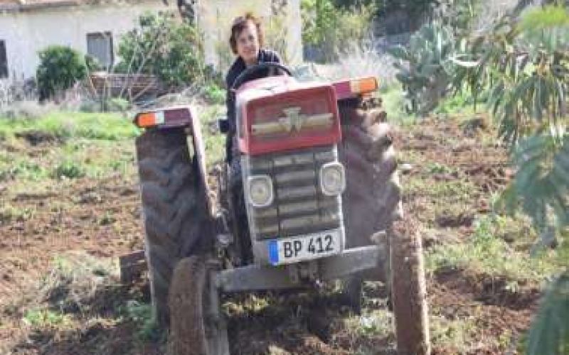 Η εγκλωβισμένη μουχτάρενα της Καρπάσιας