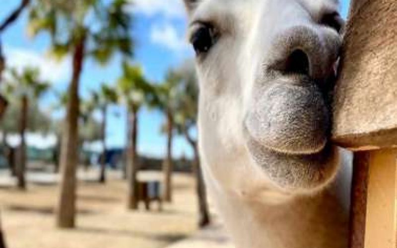 Τι κάνουμε την 1η Οκτωβρίου;