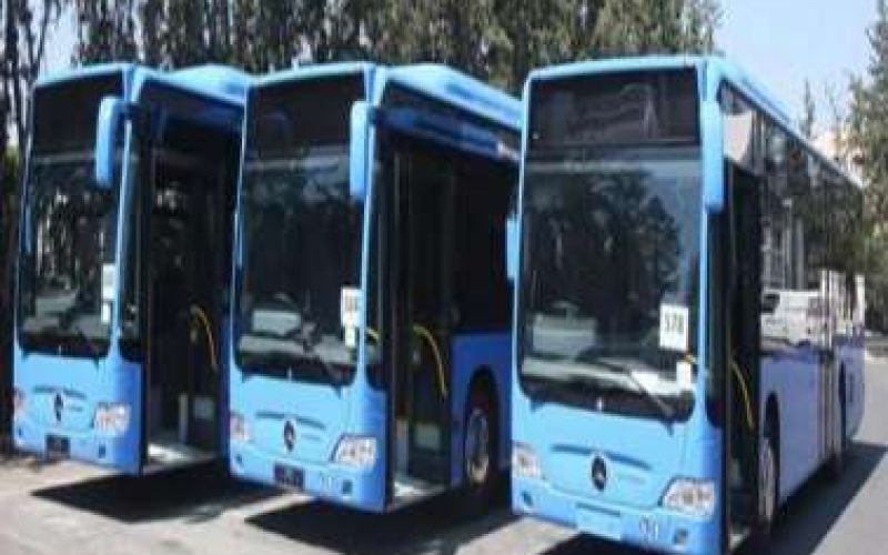 Public Transports: Buses