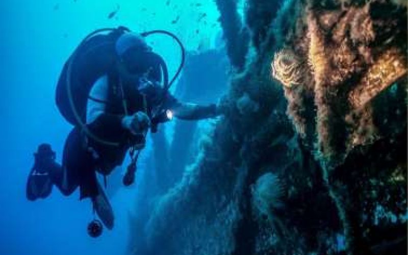 The Alexandria Wreck Cyprus