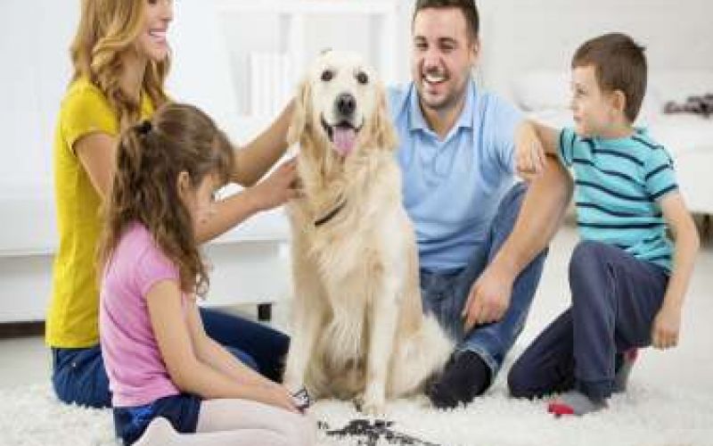 19+1 activities at home