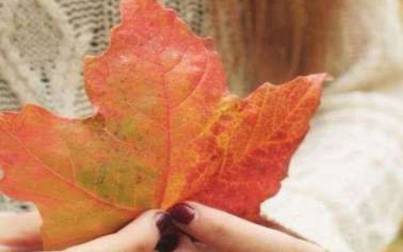 «Hello Autumn» - Μια μοναδική Φθινοπωρινή Έκθεση Χειροποίητων Κατασκευών