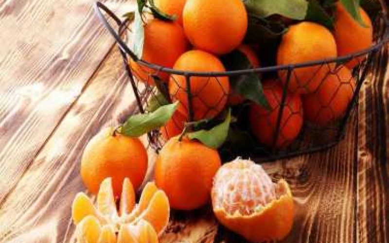 4th Mandarin festival 2024