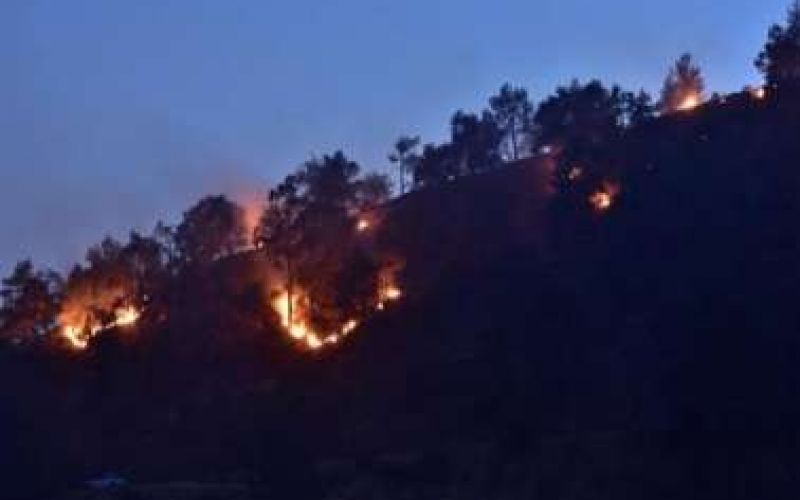 Υπό έλεγχο η φωτιά παρά την κοινότητα Τάλας