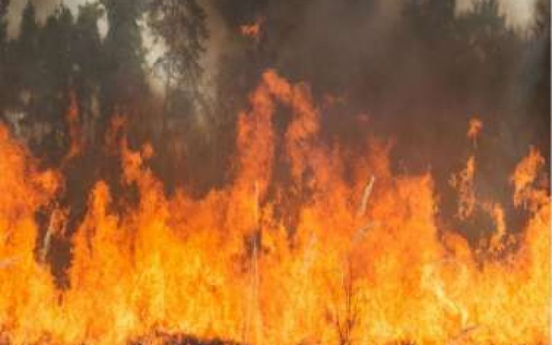 Στο κόκκινο ο συναγερμός για πυρκαγιές