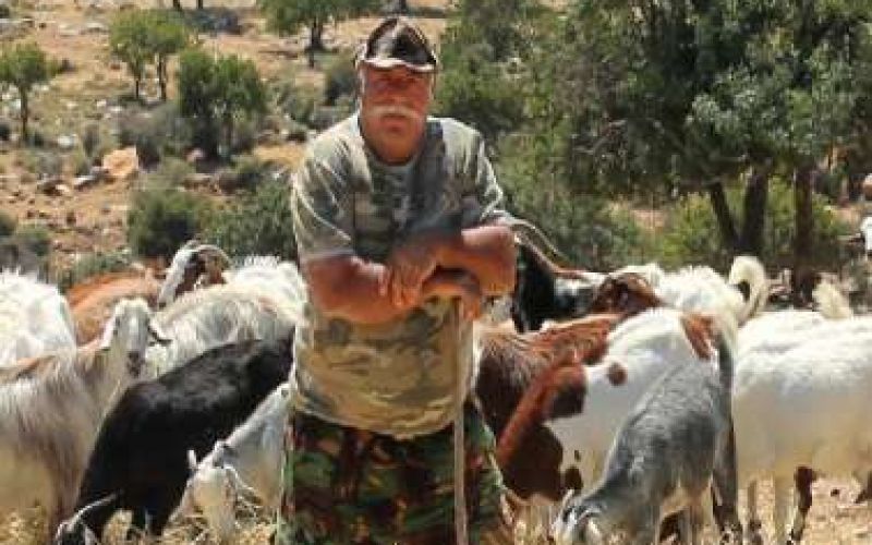 Giorti tou Voskou (The Annual Feast of the shepherd)