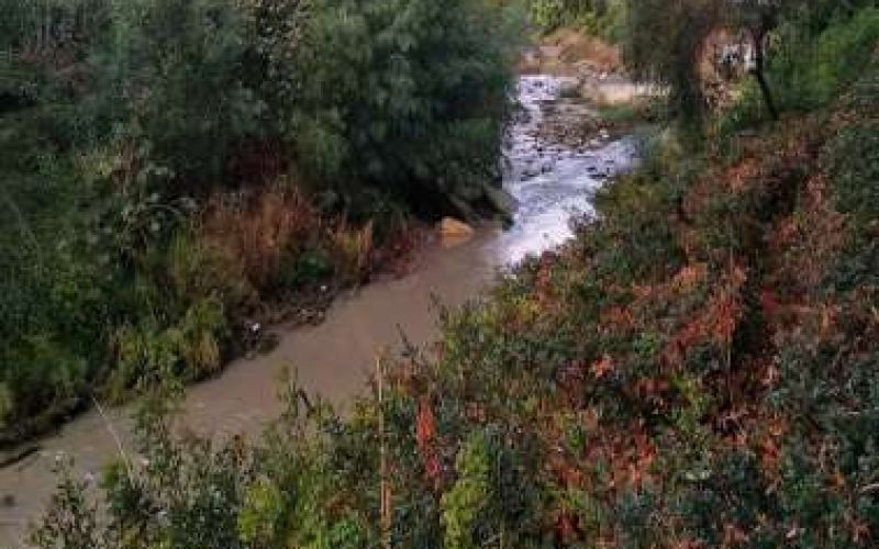 The Linear Park Along the Garyllis River becomes a paradise