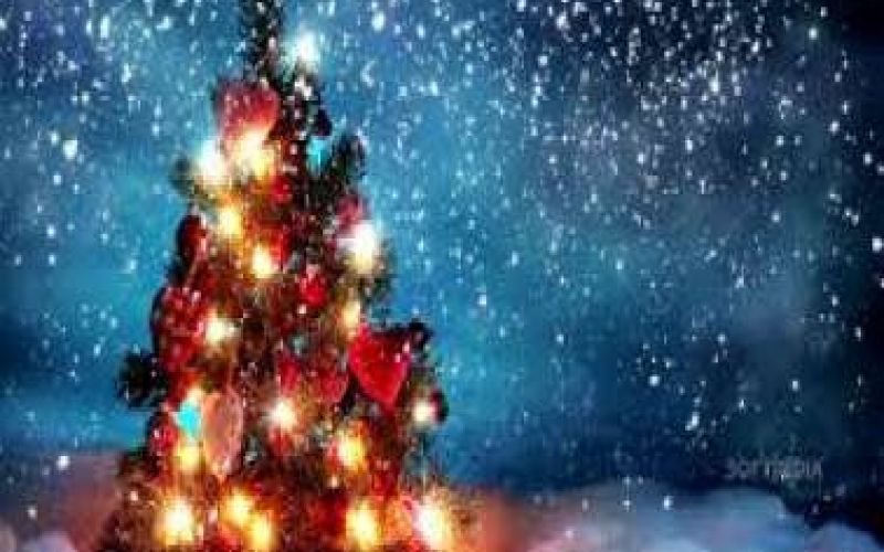 The Christmas Fairyland!