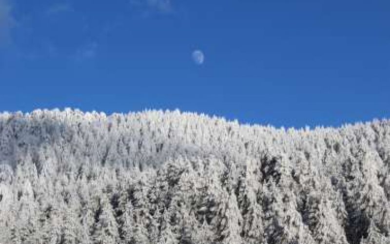 Snowy Mountains of Troodos