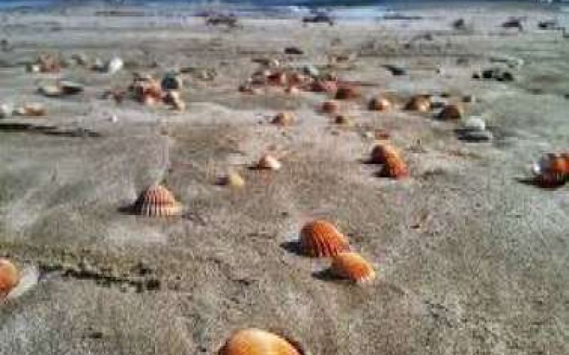 The Most Iconic Spots in Limassol