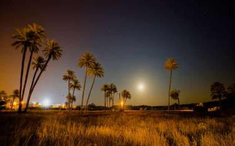 Solo Photography Exhibition by Constantinos Panayides