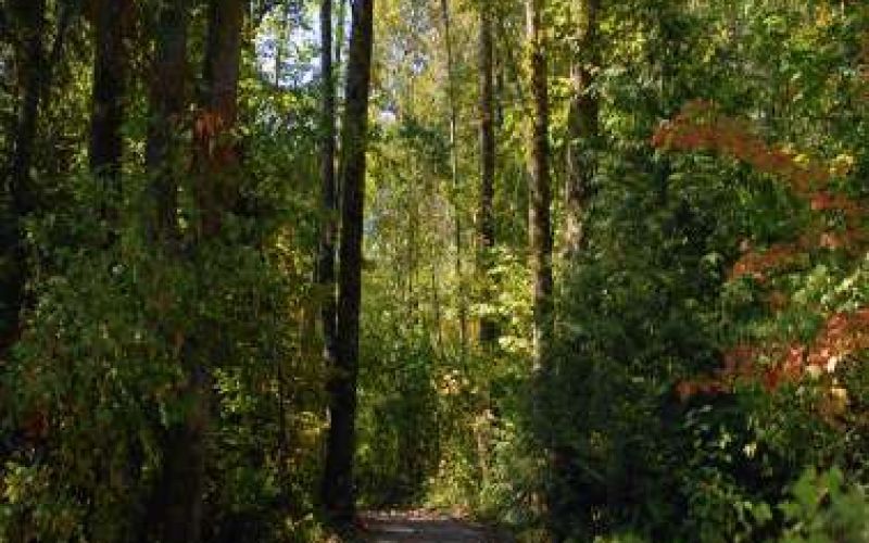 Nature Walk With LMCG: Kritou Terra Waterfall