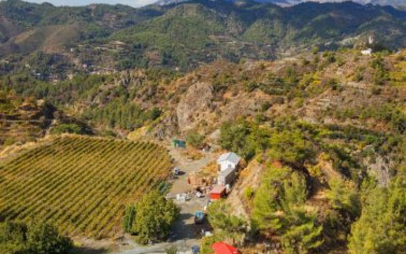 The Wine Routes of Troodos