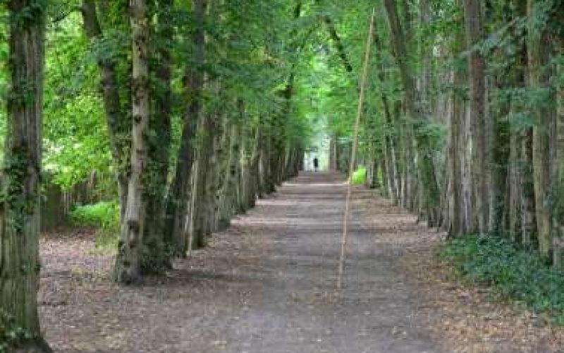 Bicycle routes - Red Soil Villages, Limassol and Troodos