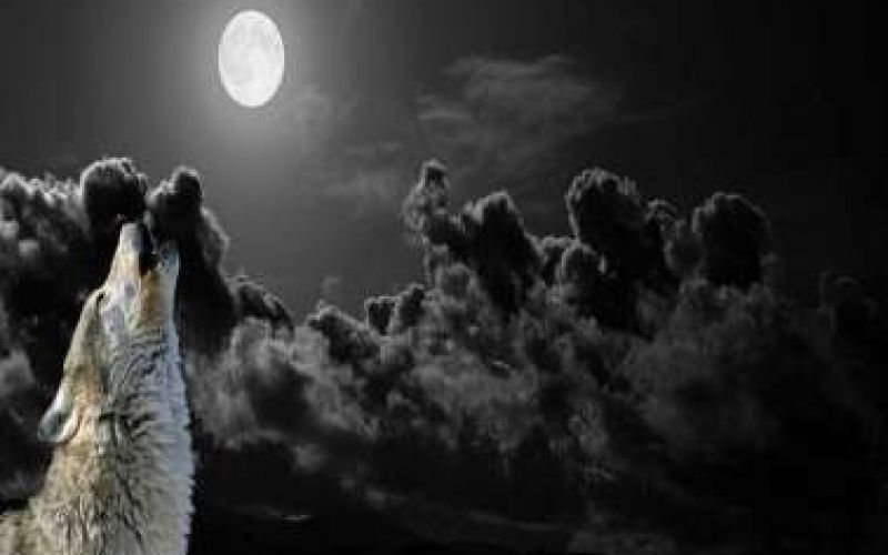 The First Full Wolf Moon 2020