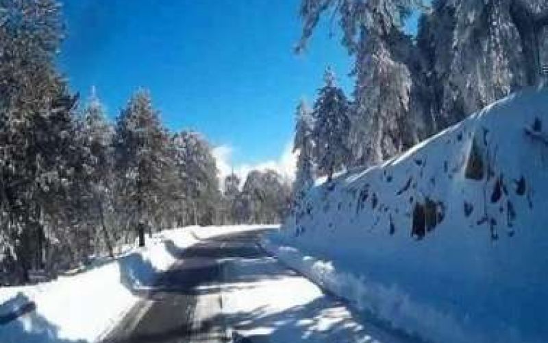 Λευκό τοπίο στο Τρόοδος