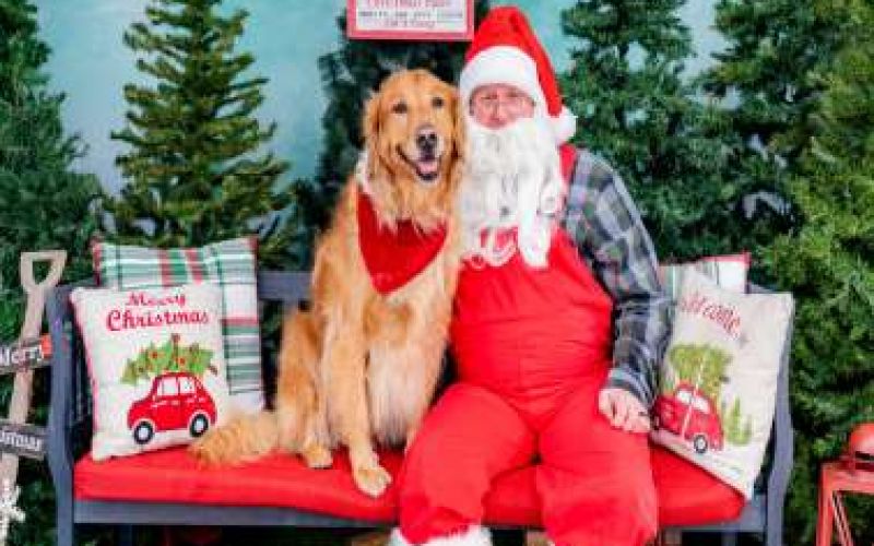 Xmas Santa Paws: Τα Χριστούγεννα συναντούν τα τετράποδα!