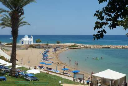 The Magical Pull of Fig Tree Bay