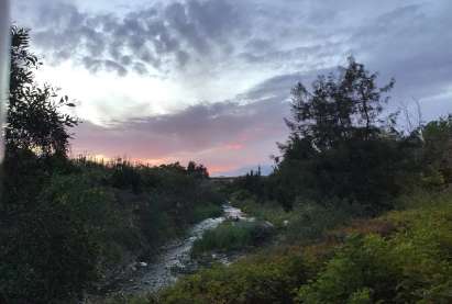 The Linear Park Along the Garyllis River becomes a paradise