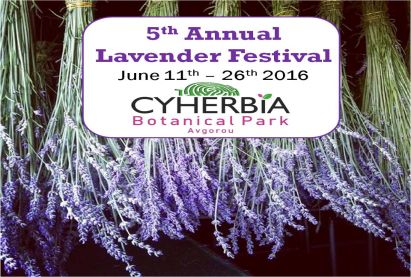 Lavender Festival 2016