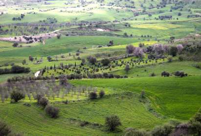 The "Bridge of Skarfou", in Simou village!