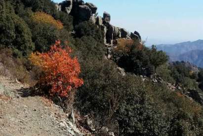 Το Κοινοτικό Πάρκο της Κυπερούντας 