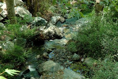 Εκδρομικός Χώρος Τροοδίτισσας