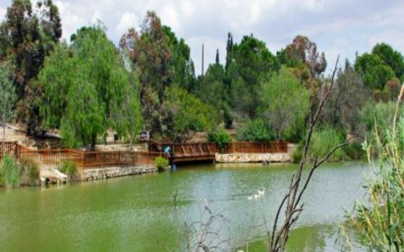 Εθνικό Δασικό Πάρκο Αθαλάσσας