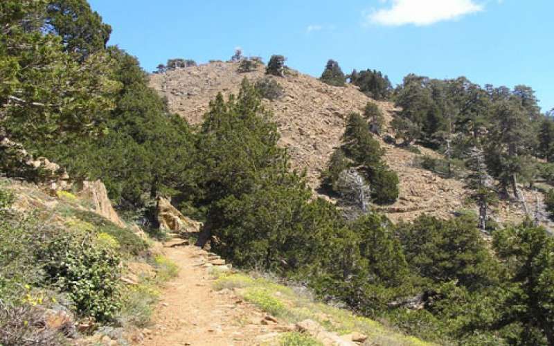 Тропа Артемиды (Artemis Trail)