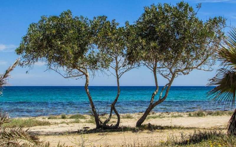 Ποταμός Λιοπετρίου