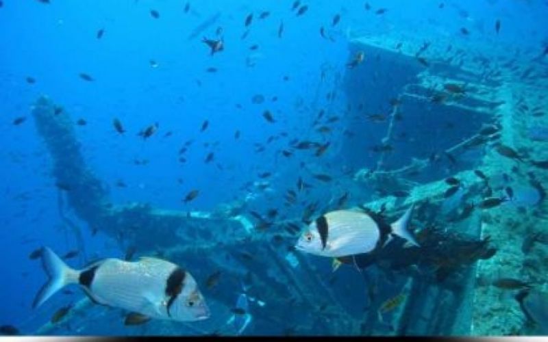 Zenobia Wreck