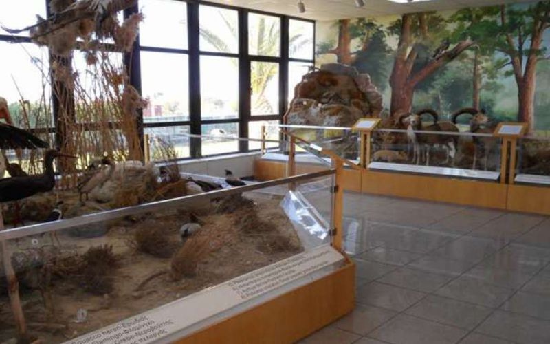 Cyprus Museum of Natural History