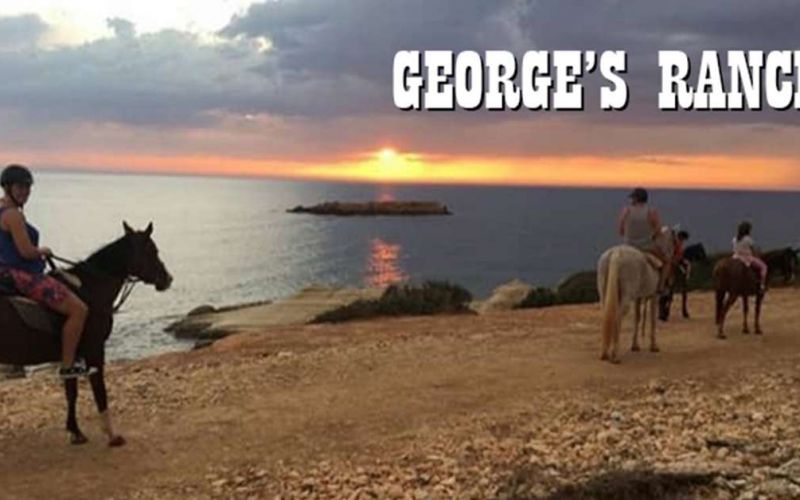 George's Ranch