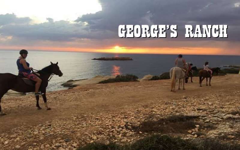 George's Ranch
