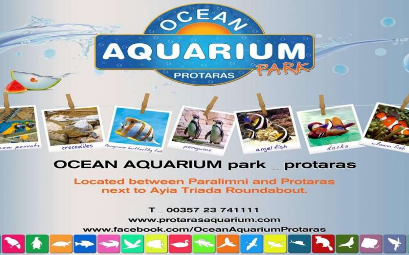 Ocean Aquarium