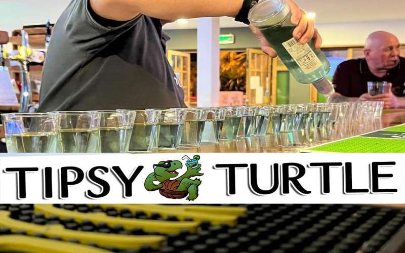 Tipsy Turtle