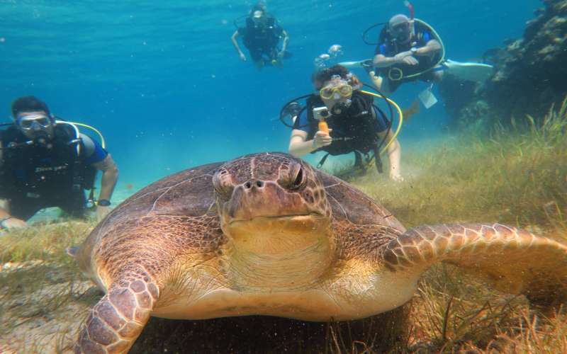Cyprus Diving Centre