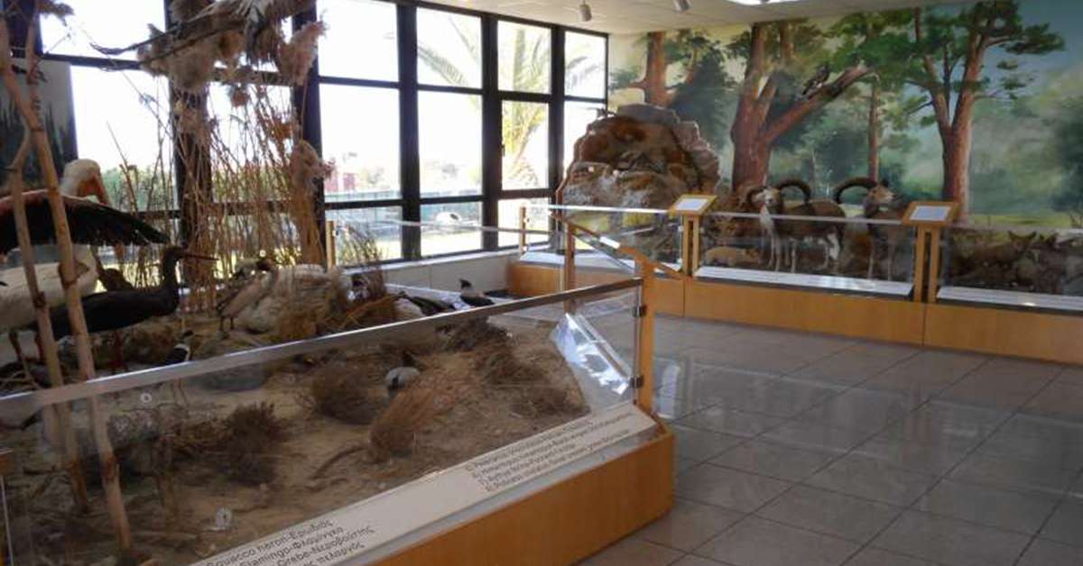 Κυπριακό Μουσείο Φυσικής Ιστορίας