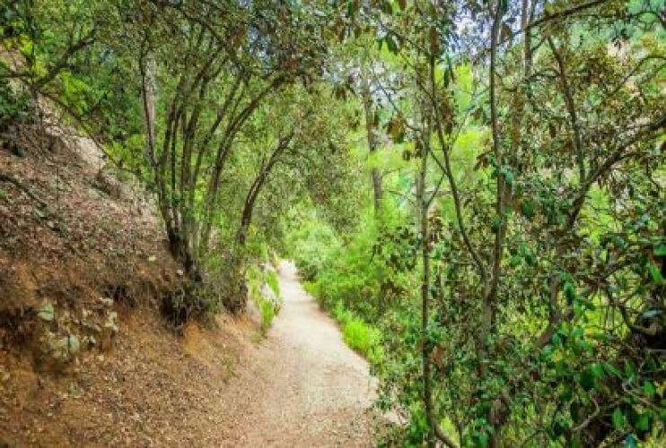 Trooditissa-Foini (Linear) Hiking