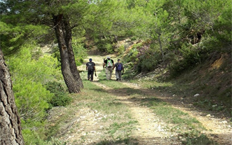 Mountains - Hiking