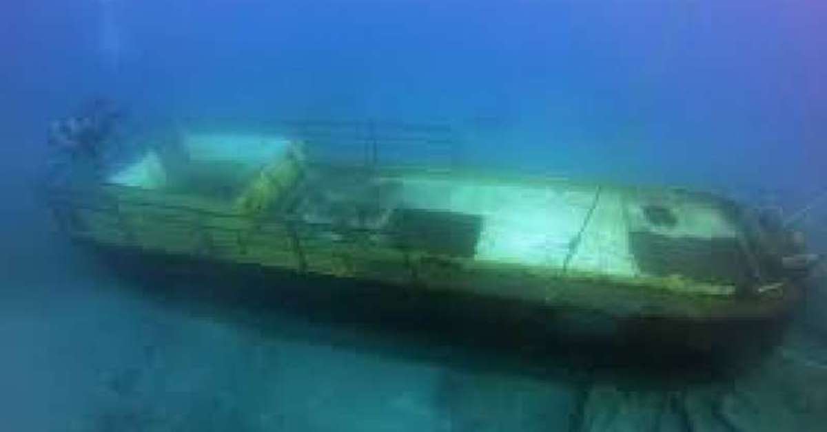 LEF1 Ship Wreck