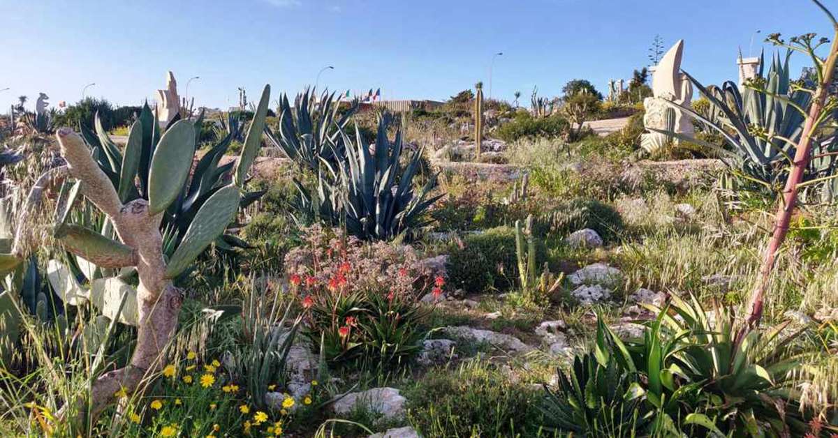 Park of Mediterranean Plants, Cacti and Succulents - Ayia Napa